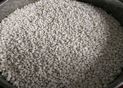 Npk fertilizer pellets made by ShunXin NPK fertilizer machine